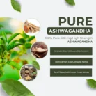 ASHWAGANDHA